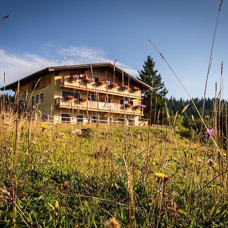 Vila Almhaus Alpenrose Postalm Seidegg Exteriér fotografie