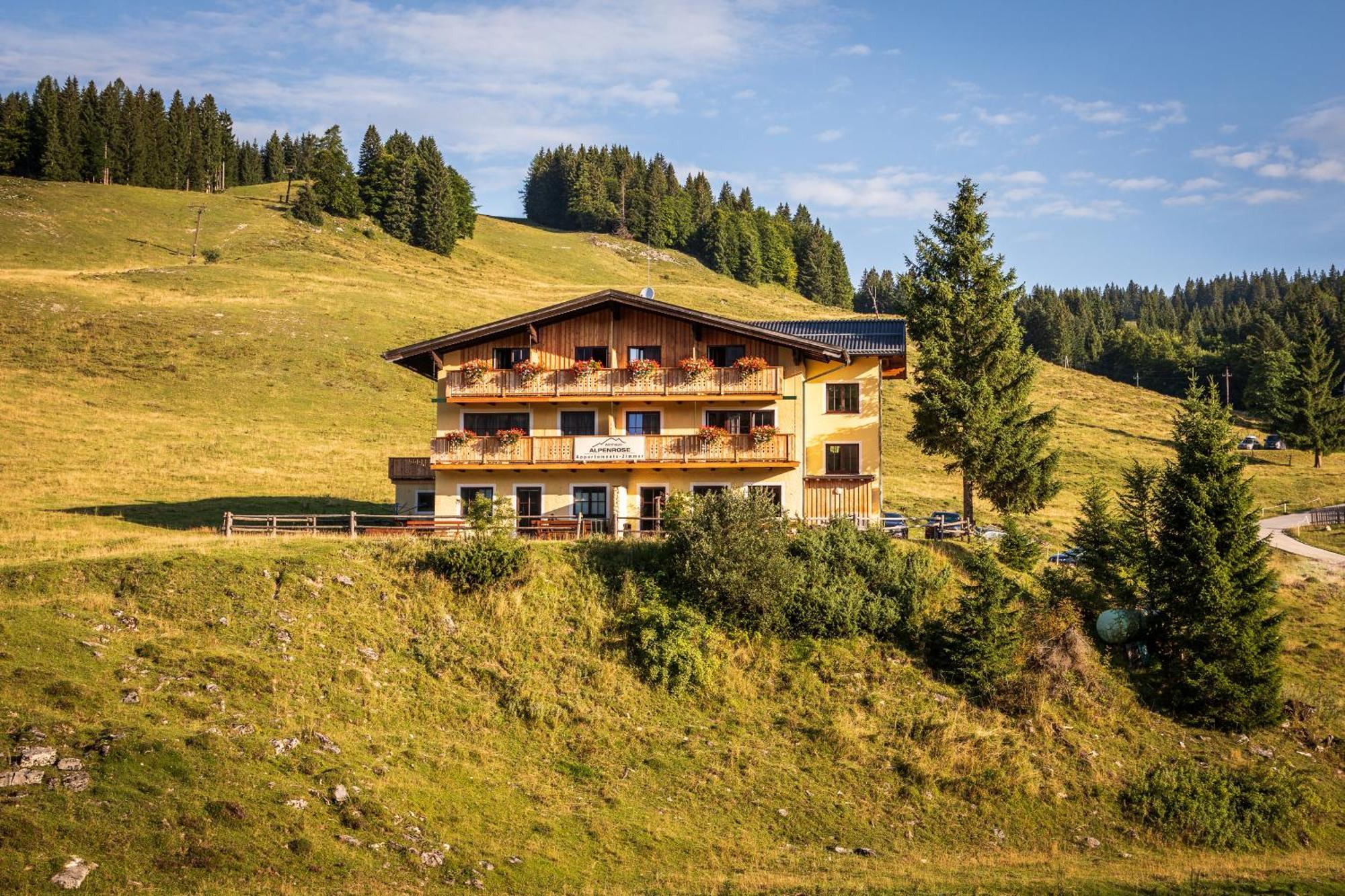 Vila Almhaus Alpenrose Postalm Seidegg Exteriér fotografie