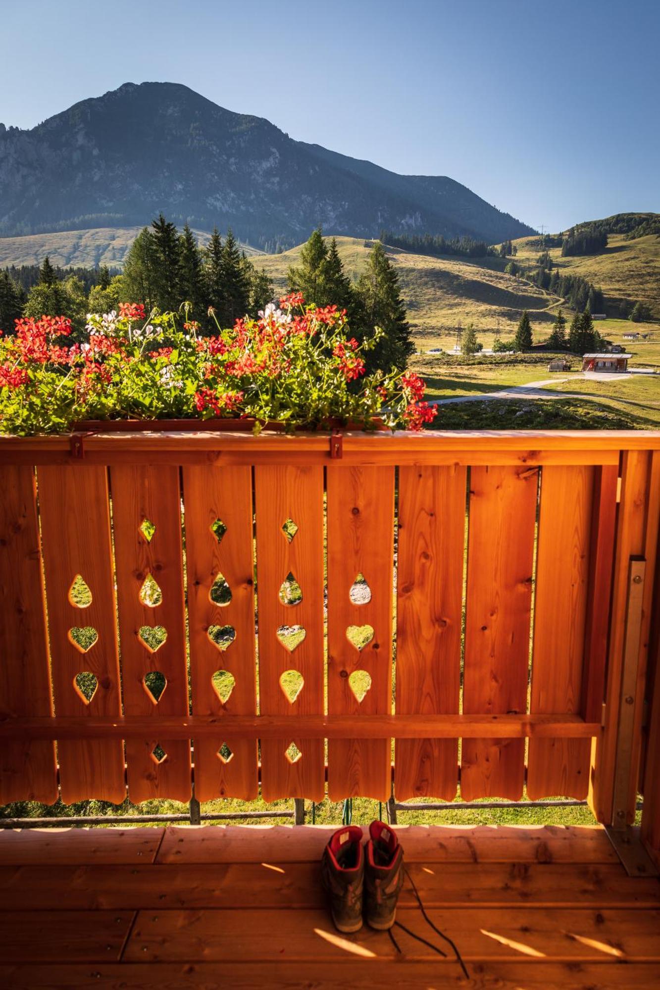 Vila Almhaus Alpenrose Postalm Seidegg Exteriér fotografie