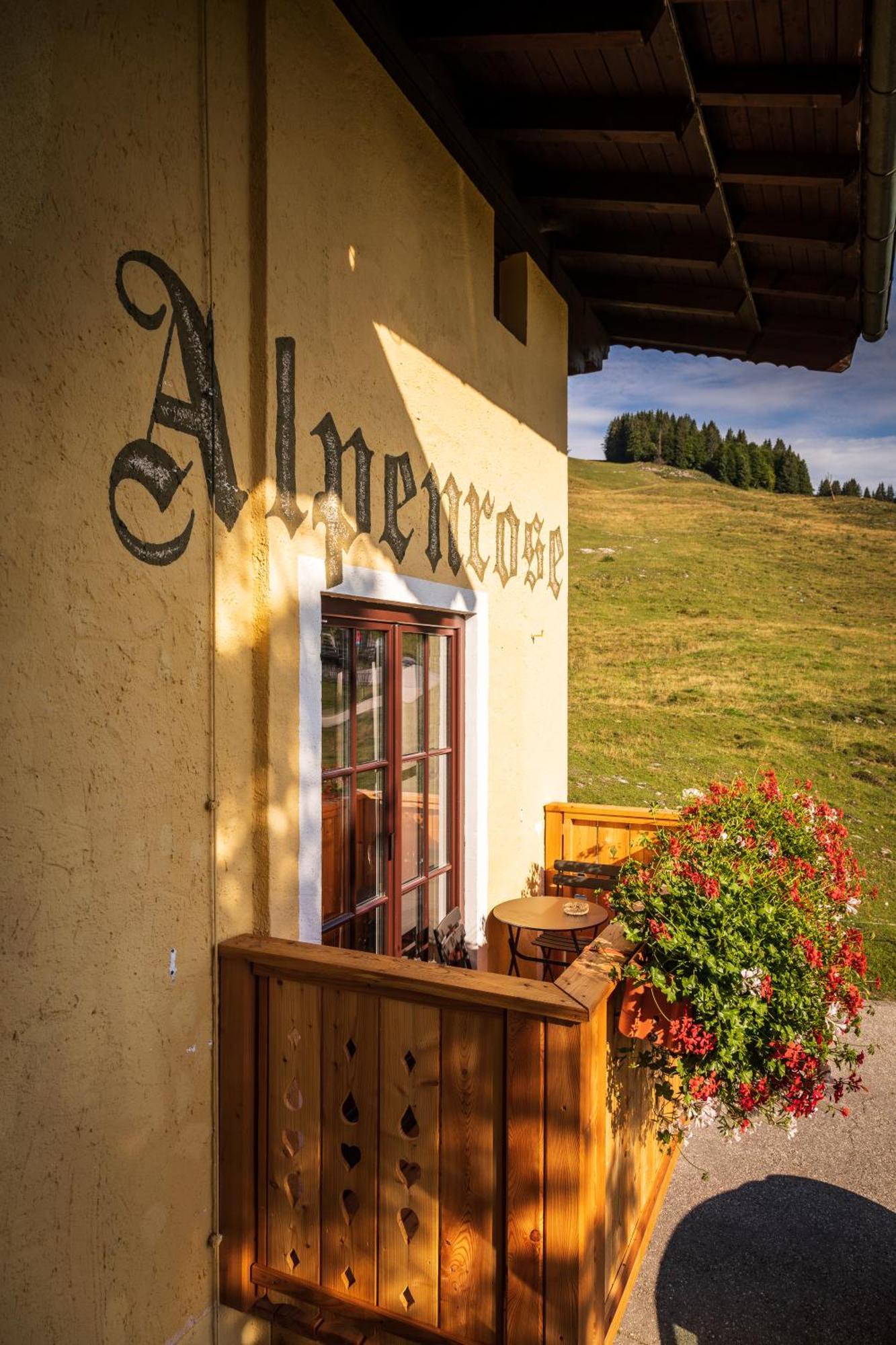 Vila Almhaus Alpenrose Postalm Seidegg Exteriér fotografie