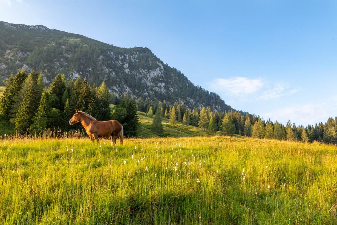 Vila Almhaus Alpenrose Postalm Seidegg Exteriér fotografie