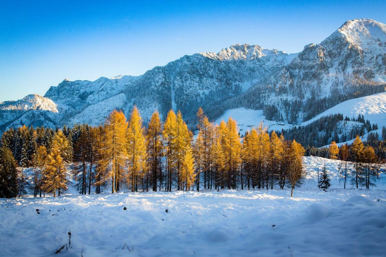 Vila Almhaus Alpenrose Postalm Seidegg Exteriér fotografie